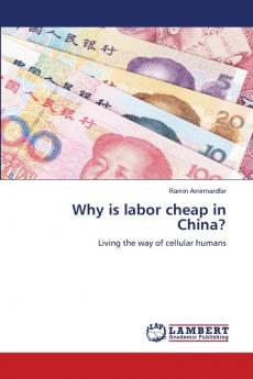 Why is labor cheap in China?