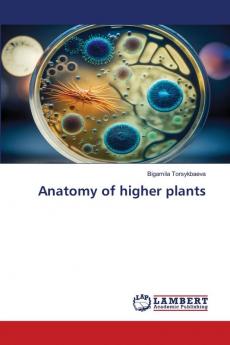 Anatomy of higher plants