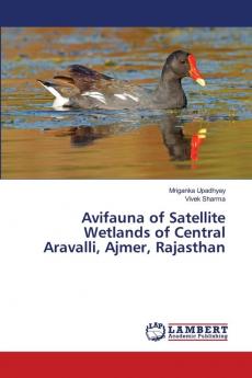 Avifauna of Satellite Wetlands of Central Aravalli Ajmer Rajasthan