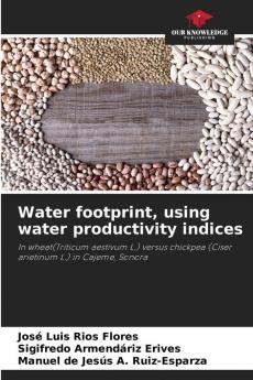 Water footprint using water productivity indices