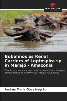 Bubalinos as Renal Carriers of Leptospira sp in Marajó - Amazonia: Serologic prevalence and renal carrier status in Marajoa buffaloes from the Arari micro-region, Pará, Brazil