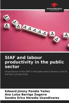SIAF and labour productivity in the public sector