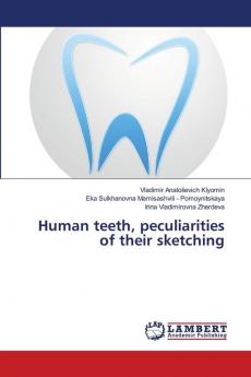 Human teeth peculiarities of their sketching