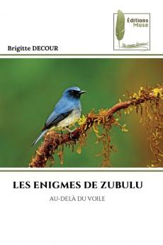 LES ENIGMES DE ZUBULU