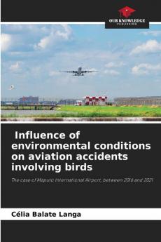 Influence of environmental conditions on aviation accidents involving birds