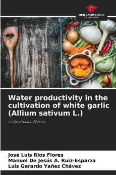 Water productivity in the cultivation of white garlic (Allium sativum L.)