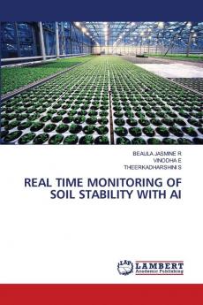 REAL TIME MONITORING OF SOIL STABILITY WITH AI