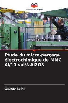 Étude du micro-perçage électrochimique de MMC Al/10 vol% Al2O3