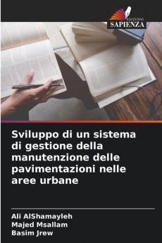 Sviluppo di un sistema di gestione della manutenzione delle pavimentazioni nelle aree urbane