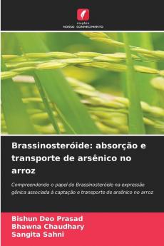 Brassinosteróide