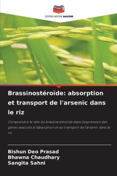 Brassinostéroïde