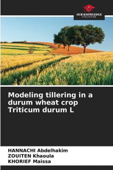 Modeling tillering in a durum wheat crop Triticum durum L