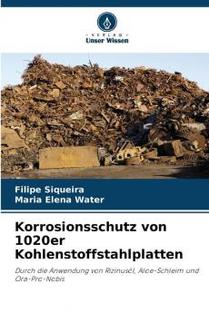 Korrosionsschutz von 1020er Kohlenstoffstahlplatten