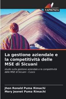 La gestione aziendale e la competitività delle MSE di Sicuani