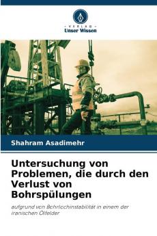 Untersuchung von Problemen die durch den Verlust von Bohrspülungen