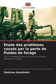 Étude des problèmes causés par la perte de fluides de forage