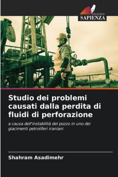 Studio dei problemi causati dalla perdita di fluidi di perforazione