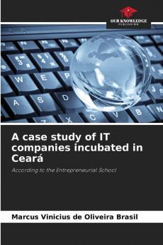 A case study of IT companies incubated in Ceará