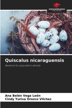 Quiscalus nicaraguensis