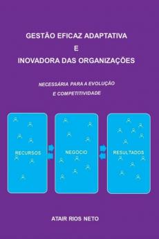 Gest��o Eficaz Adaptativa  E Inovadora Das Organiza����es