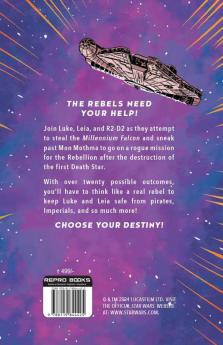 Star Wars : Choose Your Destiny : A Luke & Leia Adventure