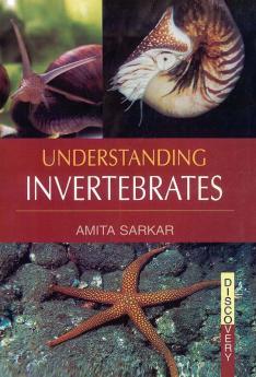 UNDERSTANDING INVERTEBRATES