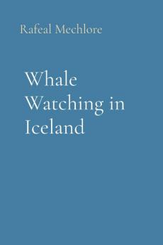 Whale Watching in Iceland