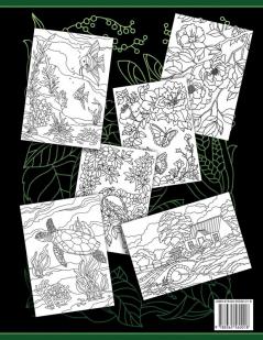Coloring Books For Adults Volume 6