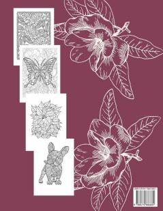 Adult Coloring Book Amazing Patterns Fun Easy and Relaxing: Designs Perfect for Adults Relaxation and Coloring Gift Book Ideas Large Size 85 x 11