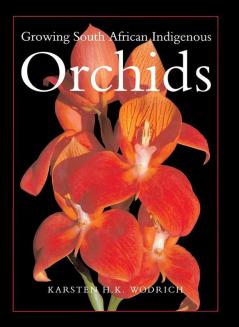 Growing South African Indigenous Orchids