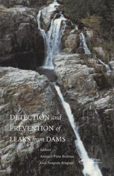 Detection and the Prevention of Leaks from Dams