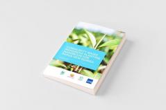 Community-Based Mangrove Planting Handbook for Papua New Guinea
