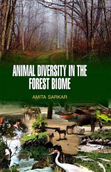 Animal Diversity in the Forest Biome