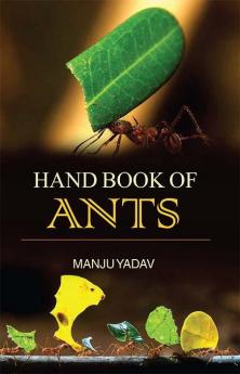 Hand Book Of Ants