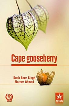 Cape gooseberry