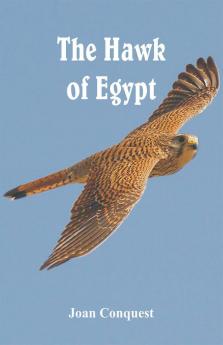 The Hawk of Egypt