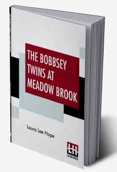 The Bobbsey Twins At Meadow Brook