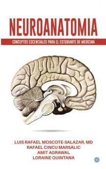 Neuroanatomia