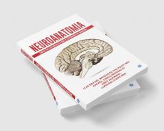 Neuroanatomia