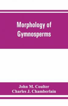 Morphology Of Gymnosperms