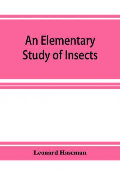 An Elementary Study of Insects