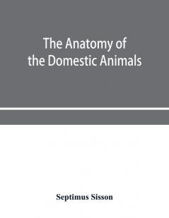 The anatomy of the domestic animals