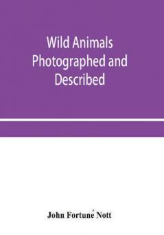 Wild animals photographed and described