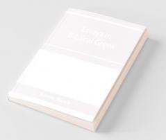 Essays In Biblical Greek