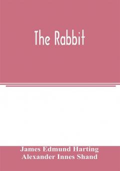 The rabbit