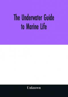 The underwater guide to marine life