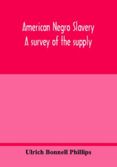 American Negro slavery