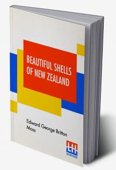 Beautiful Shells Of New Zealand