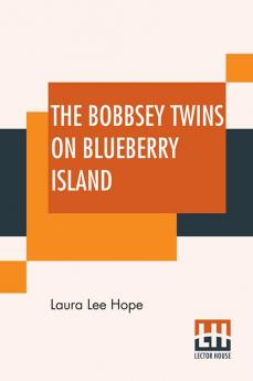 The Bobbsey Twins On Blueberry Island