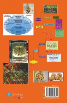 Antonyms & Synonyms Question Bank With Picture Concept